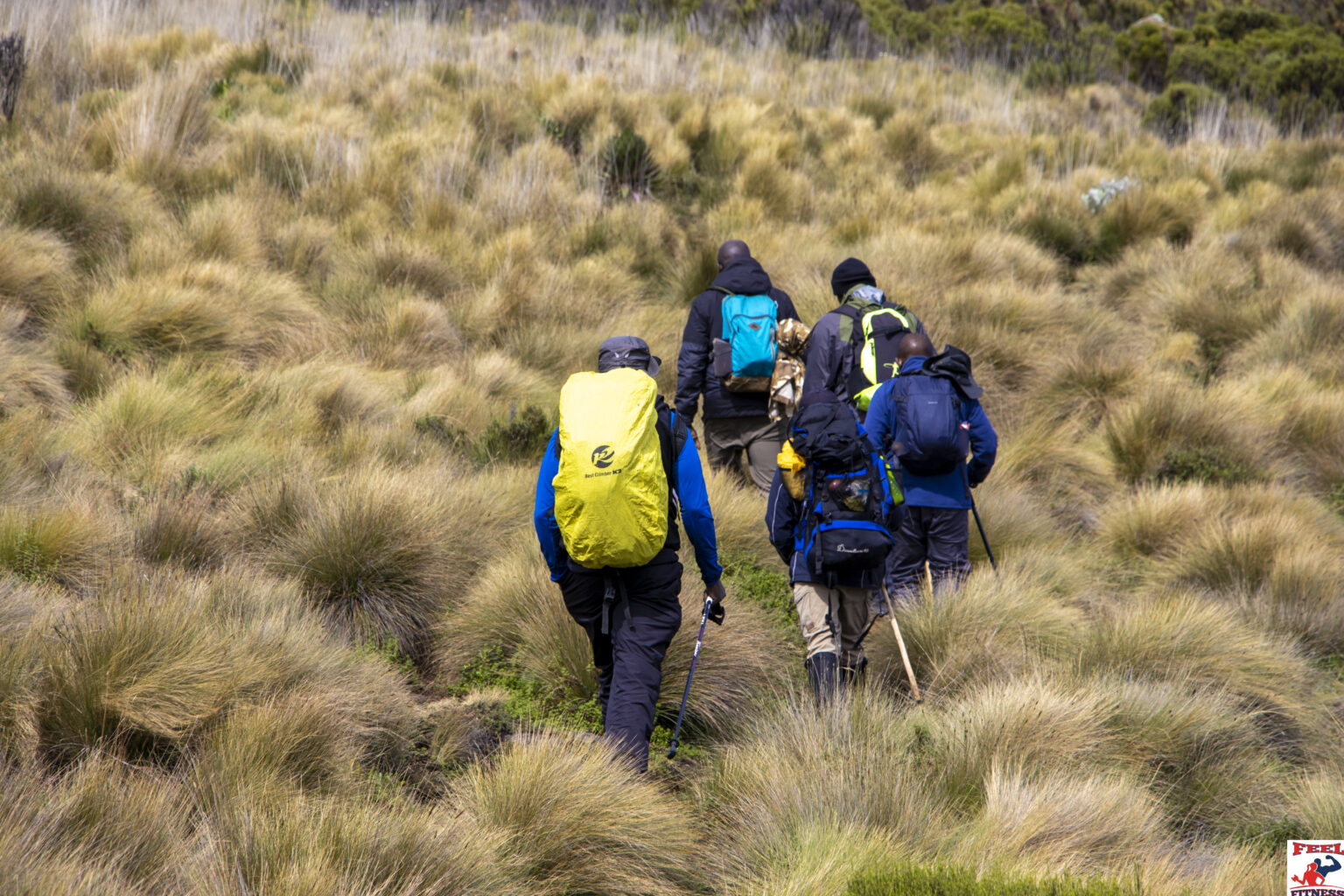 Conquering Mount Kenya: A Three-Day Adventure Through Forests ...